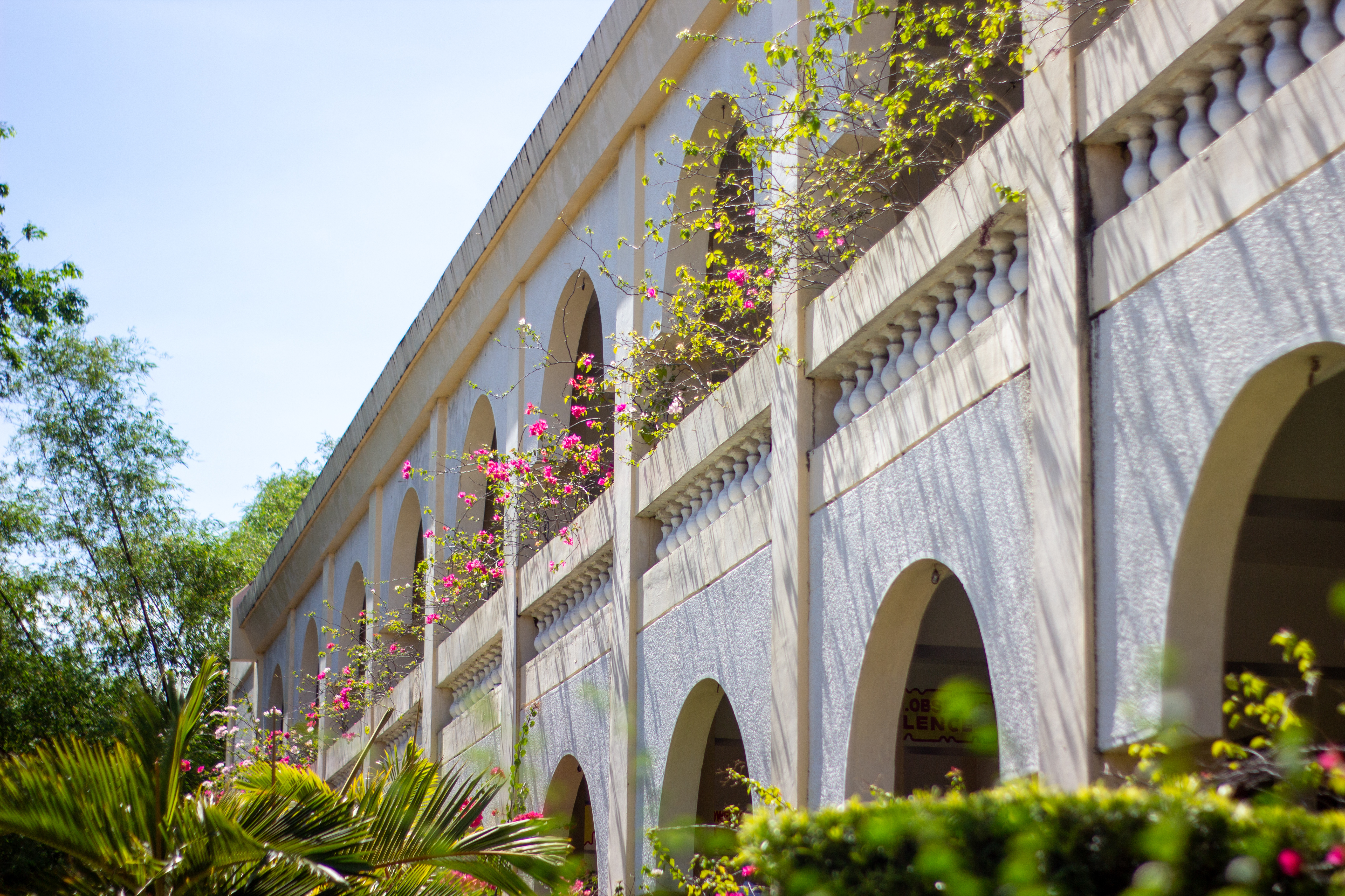 Saint Francis of Assisi College